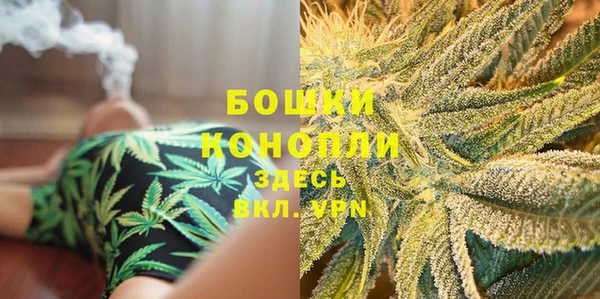 Альфа ПВП Мегион
