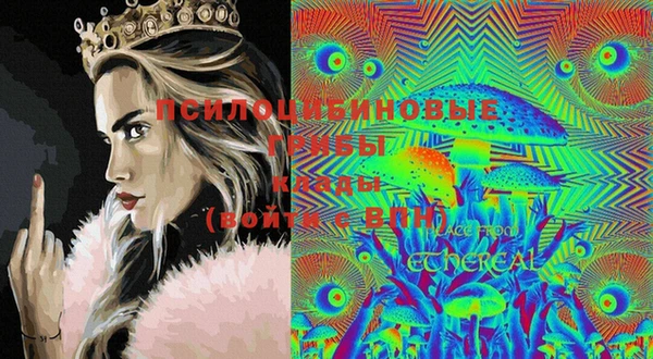 mdma Медвежьегорск