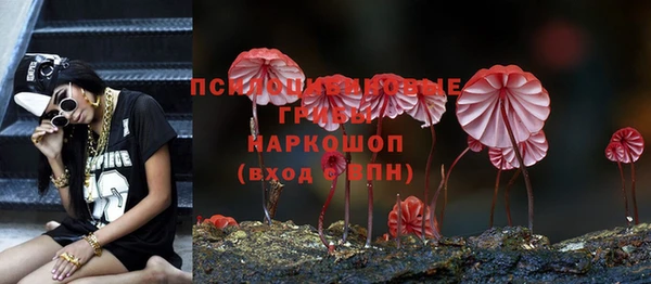 mdma Медвежьегорск